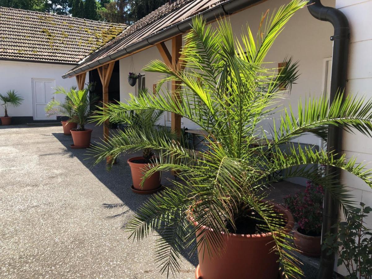 Ferienwohnung „Gmuender Hof“ 格明德 外观 照片